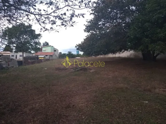 Terreno com 3100m², à venda, no bairro Pedro Leme em Roseira