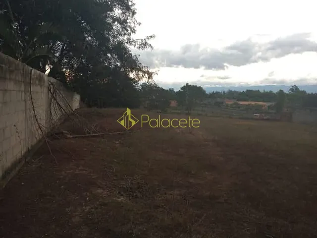 Terreno com 3100m², à venda, no bairro Pedro Leme em Roseira