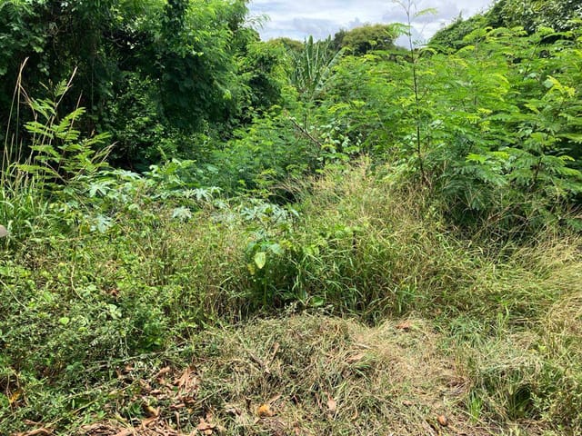 Foto do Terreno - Terreno à venda, Vila Sônia, Sorocaba, SP | A Bela Vista Imóveis