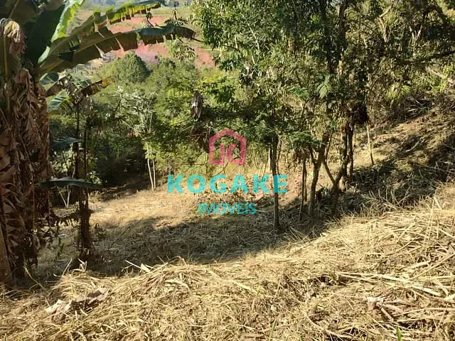 Terreno com 2500m², à venda, no bairro Freitas em São José dos Campos