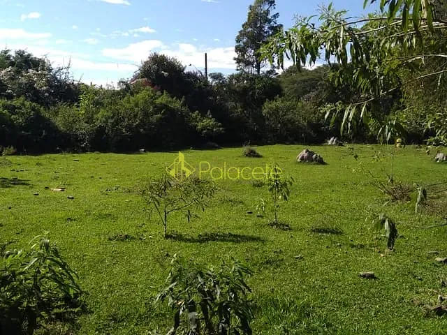 Terreno à venda, no bairro Jardim Eloyna em Pindamonhangaba