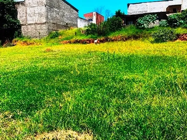 Terreno com 167m², à venda, no bairro Cidade Nova em Pindamonhangaba