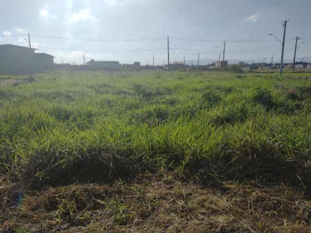 Terreno com 300m², à venda, no bairro Residencial e Comercial Portal dos Eucaliptos em Pindamonhangaba
