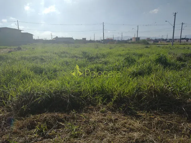 Terreno com 300m², à venda, no bairro Residencial e Comercial Portal dos Eucaliptos em Pindamonhangaba