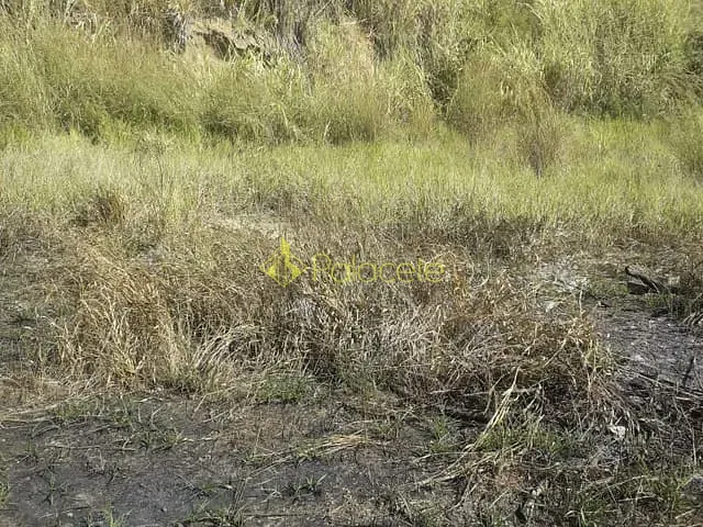 Terreno com 125m², à venda, no bairro Itaguaçú em Aparecida