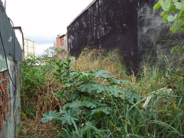 Foto do Terreno - Terreno à Venda, Santo Antônio, Osasco, SPTe | A Bela Vista Imóveis