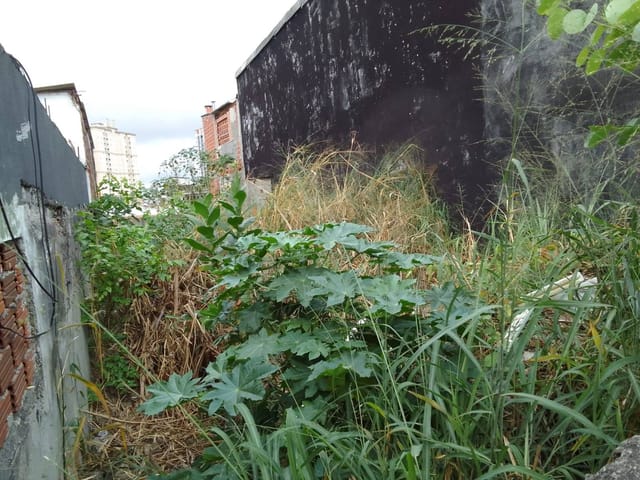 Foto do Terreno - Terreno à Venda, Santo Antônio, Osasco, SPTe | A Bela Vista Imóveis