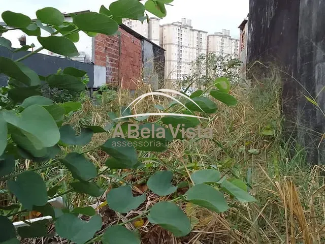 Terreno com 125m², à venda, no bairro Santo Antônio em Osasco