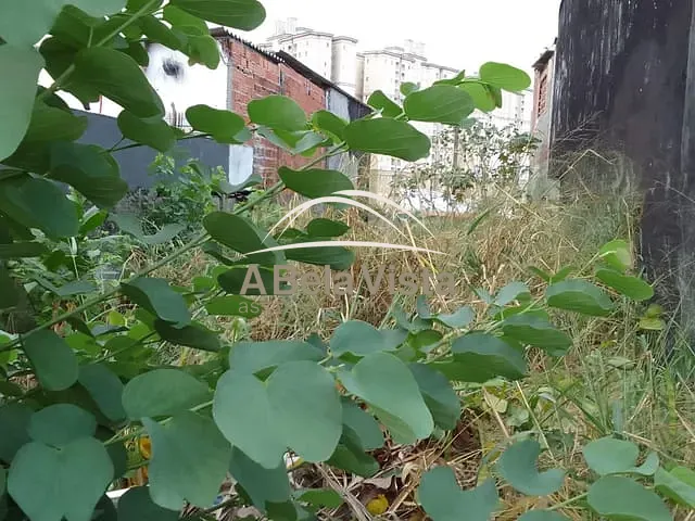 Terreno com 125m², à venda, no bairro Santo Antônio em Osasco