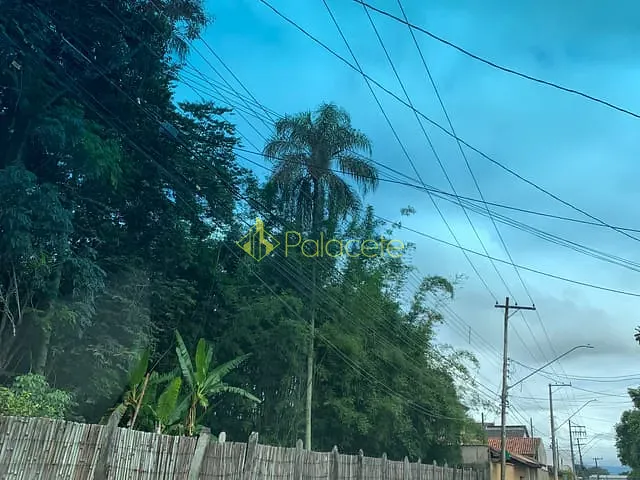 Terreno com 5000m², à venda, no bairro Jardim Campo Alegre em Pindamonhangaba