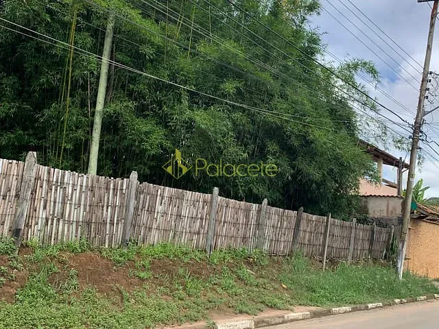 Terreno com 5000m², à venda, no bairro Jardim Campo Alegre em Pindamonhangaba
