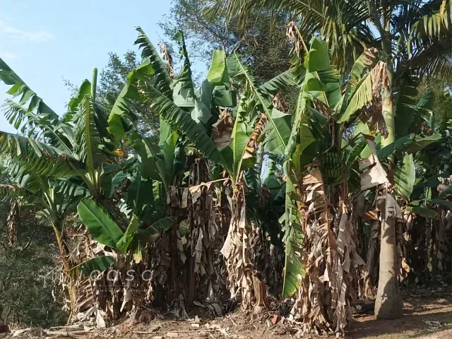 Terreno com 3200m², à venda, no bairro Freitas em São José dos Campos