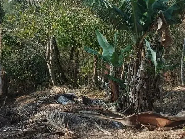 Terreno com 3200m², à venda, no bairro Freitas em São José dos Campos