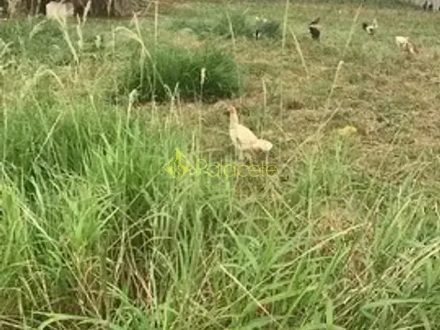 Terreno à venda, no bairro São Gonçalo em Taubaté