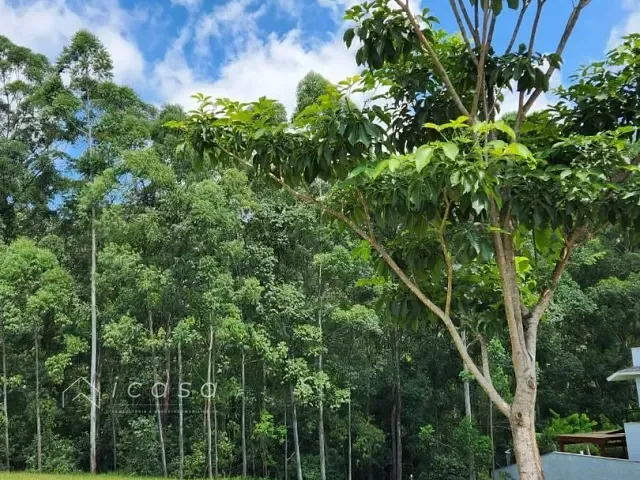 Terreno com 590m², à venda, no bairro Tamboré em Santana de Parnaíba