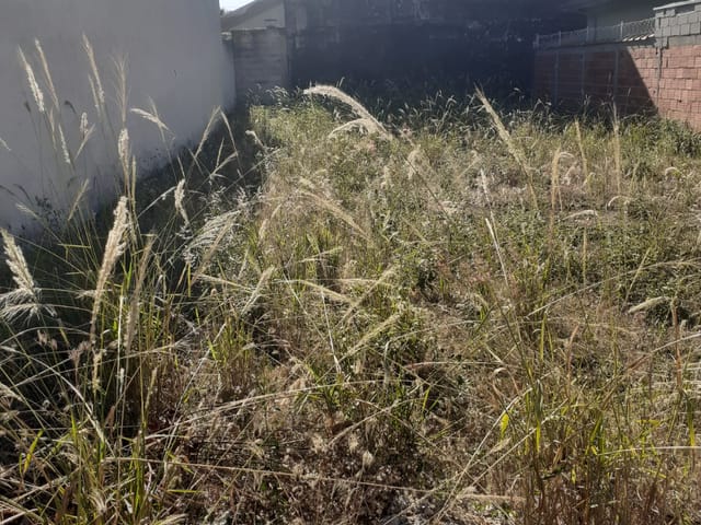 Terreno com 250m², à venda, no bairro Residencial Mombaça em Pindamonhangaba
