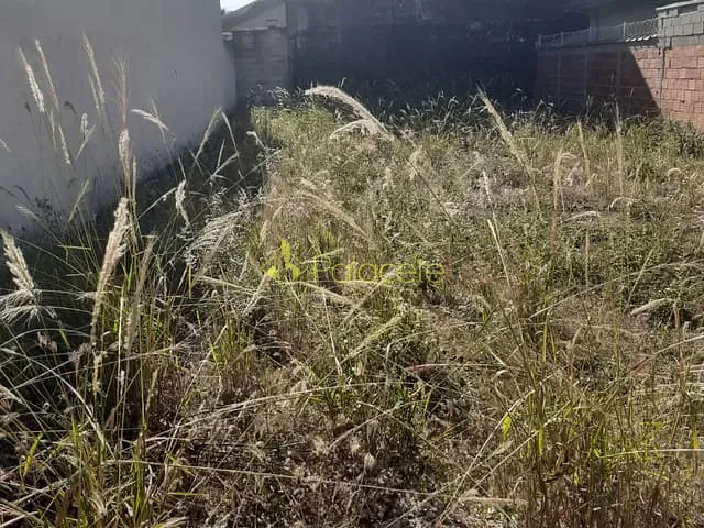 Terreno com 250m², à venda, no bairro Residencial Mombaça em Pindamonhangaba