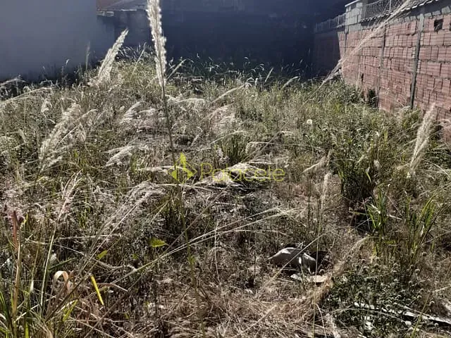 Terreno com 250m², à venda, no bairro Residencial Mombaça em Pindamonhangaba