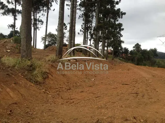 Terreno com 2742m², à venda, no bairro Jardim Sandra em Cotia