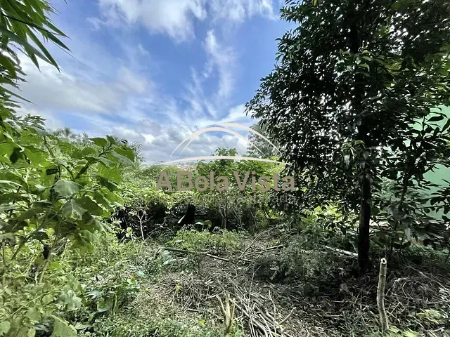 Terreno com 907m², à venda, no bairro Vila Santo Antônio em Cotia