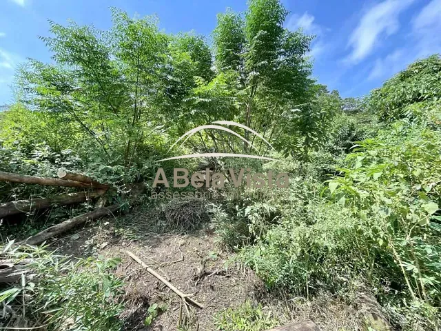 Terreno com 907m², à venda, no bairro Vila Santo Antônio em Cotia