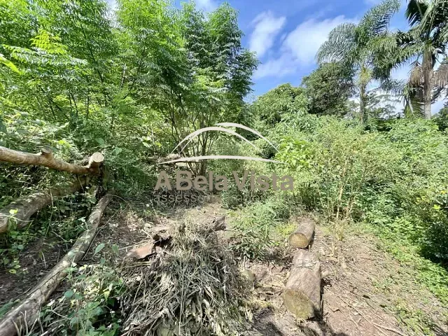 Terreno com 907m², à venda, no bairro Vila Santo Antônio em Cotia