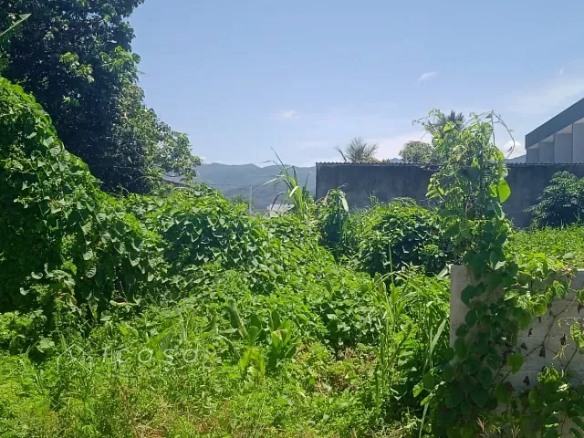 Terreno com 3240m², à venda, no bairro Pontal de Santa Marina em Caraguatatuba