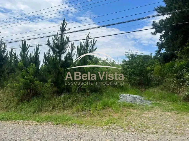 Terreno com 4973m², à venda, no bairro Paisagem Renoir em Cotia