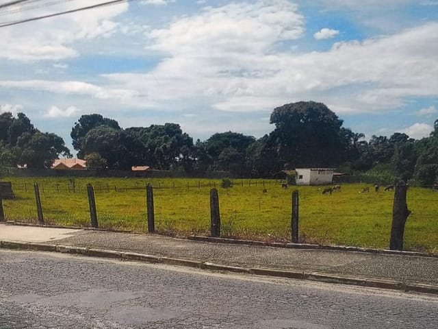 Terreno com 300m², à venda, no bairro Loteamento João Tamborindeguy Fernandes em Pindamonhangaba