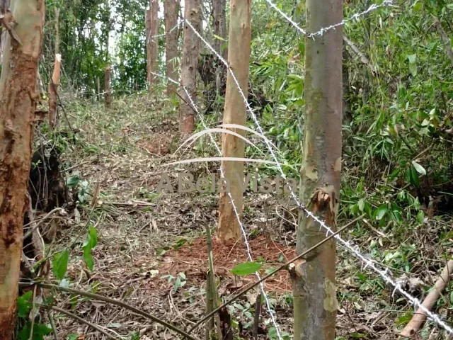 Terreno com 36000m², à venda, no bairro Chácara São João em Campo Limpo Paulista