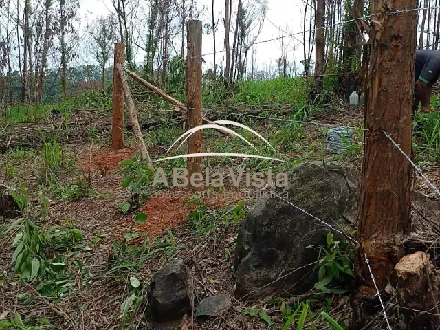 Terreno com 36000m², à venda, no bairro Chácara São João em Campo Limpo Paulista