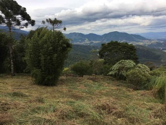 Terreno com 1300m², à venda, no bairro Alto do Piracuama em Pindamonhangaba