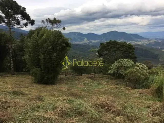 Terreno com 1300m², à venda, no bairro Alto do Piracuama em Pindamonhangaba