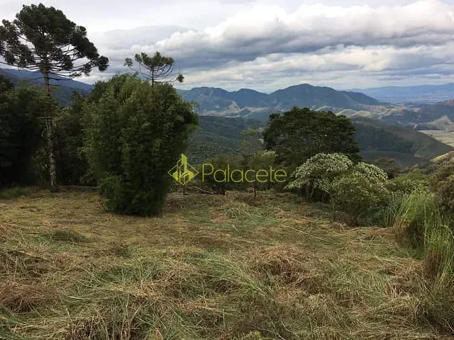 Terreno com 1300m², à venda, no bairro Alto do Piracuama em Pindamonhangaba