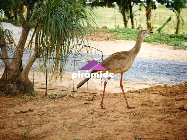 Terreno com 20000m², à venda, no bairro Taquarí em São José dos Campos