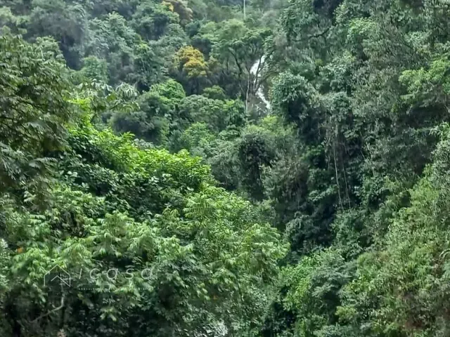 Terreno com 48400m², à venda, no bairro Pouso Frio em Virgínia