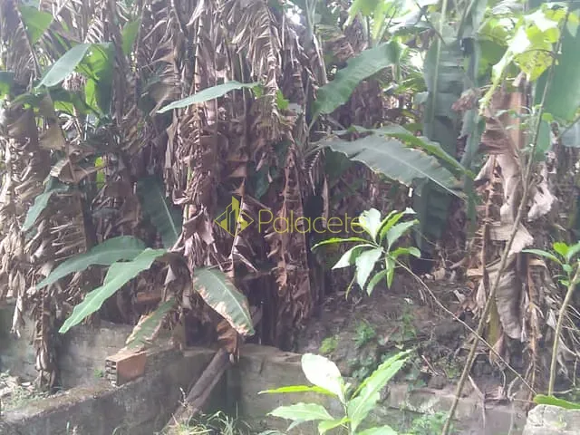 Terreno com 6866m², à venda, no bairro Crispim em Pindamonhangaba