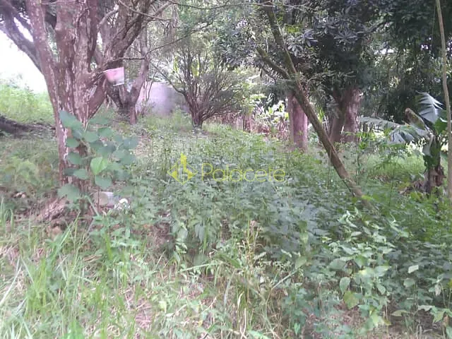 Terreno com 6866m², à venda, no bairro Crispim em Pindamonhangaba