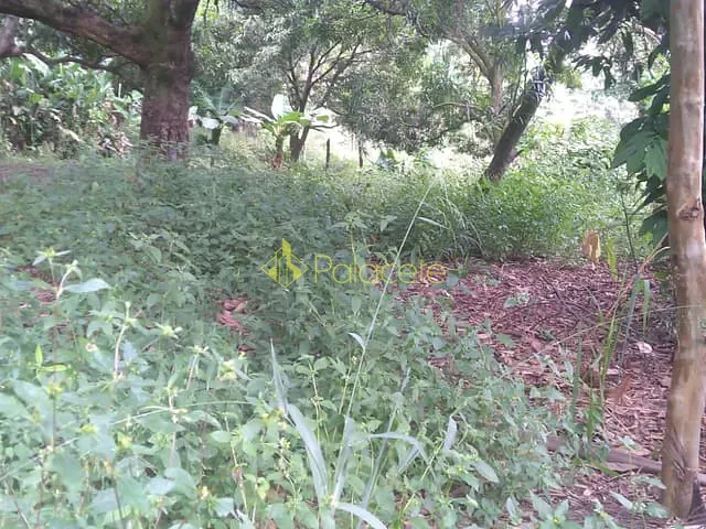 Terreno com 6866m², à venda, no bairro Crispim em Pindamonhangaba