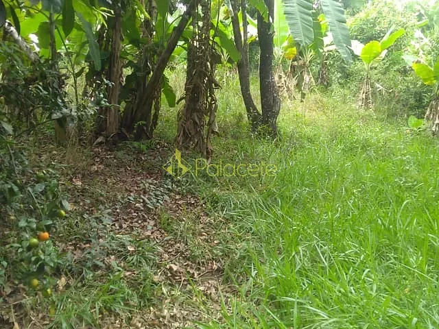 Terreno com 6866m², à venda, no bairro Crispim em Pindamonhangaba