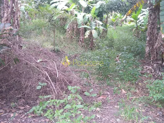 Terreno com 6866m², à venda, no bairro Crispim em Pindamonhangaba