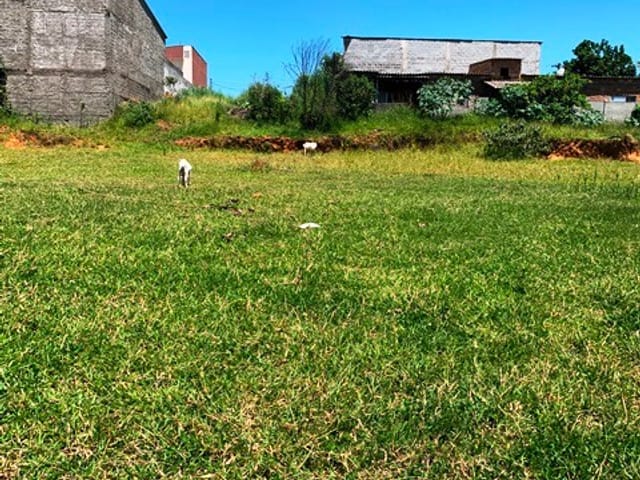 Terreno com 1146m², à venda, no bairro Cidade Nova em Pindamonhangaba