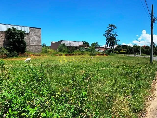 Terreno com 1146m², à venda, no bairro Cidade Nova em Pindamonhangaba