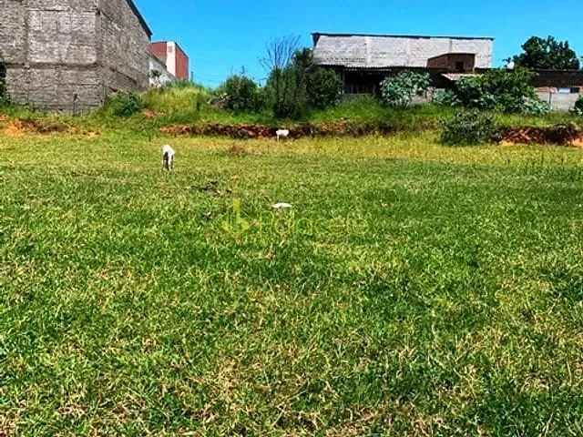 Terreno com 1146m², à venda, no bairro Cidade Nova em Pindamonhangaba
