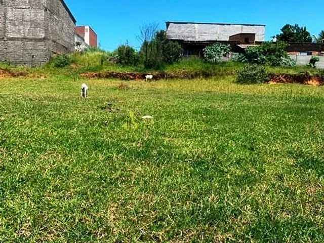 Terreno com 1146m², à venda, no bairro Cidade Nova em Pindamonhangaba