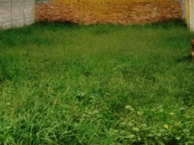 Terreno com 200m², à venda, no bairro Parque das Palmeiras em Pindamonhangaba