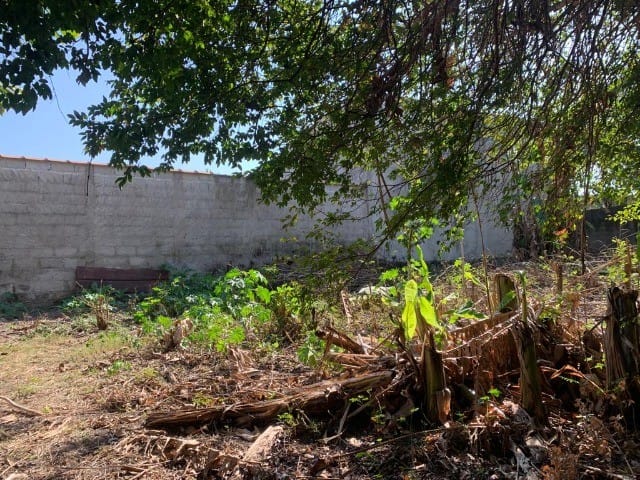 Terreno à venda, no bairro Alto do Cardoso em Pindamonhangaba