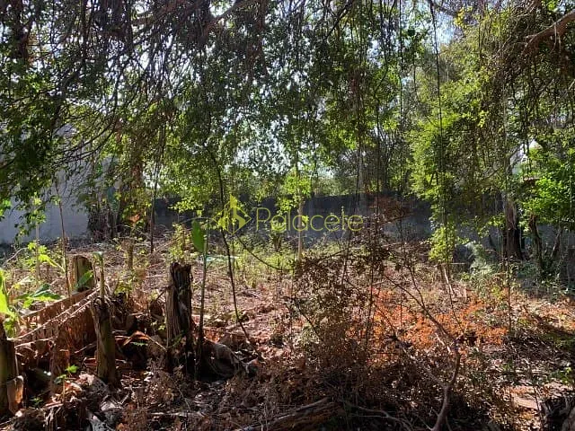 Terreno à venda, no bairro Alto do Cardoso em Pindamonhangaba