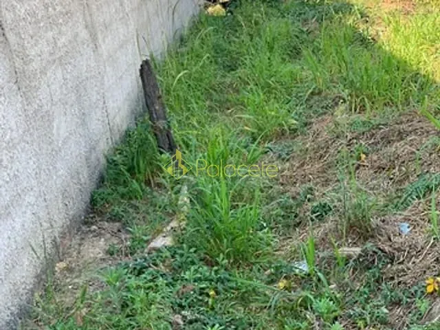Terreno à venda, no bairro Alto do Cardoso em Pindamonhangaba