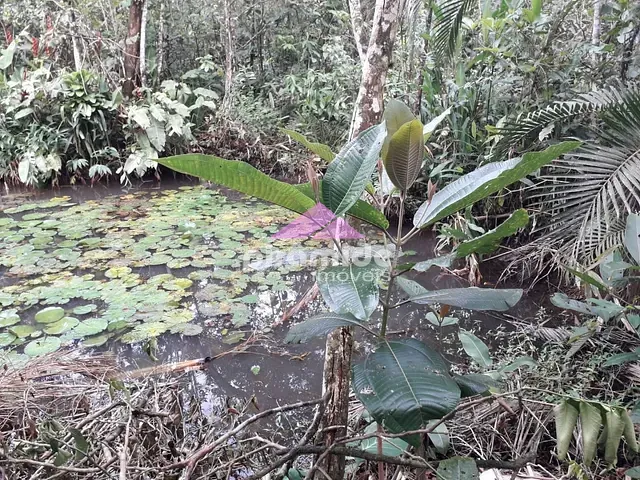 Terreno com 1110m², à venda, no bairro Verde Mar em Caraguatatuba